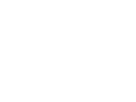 style image