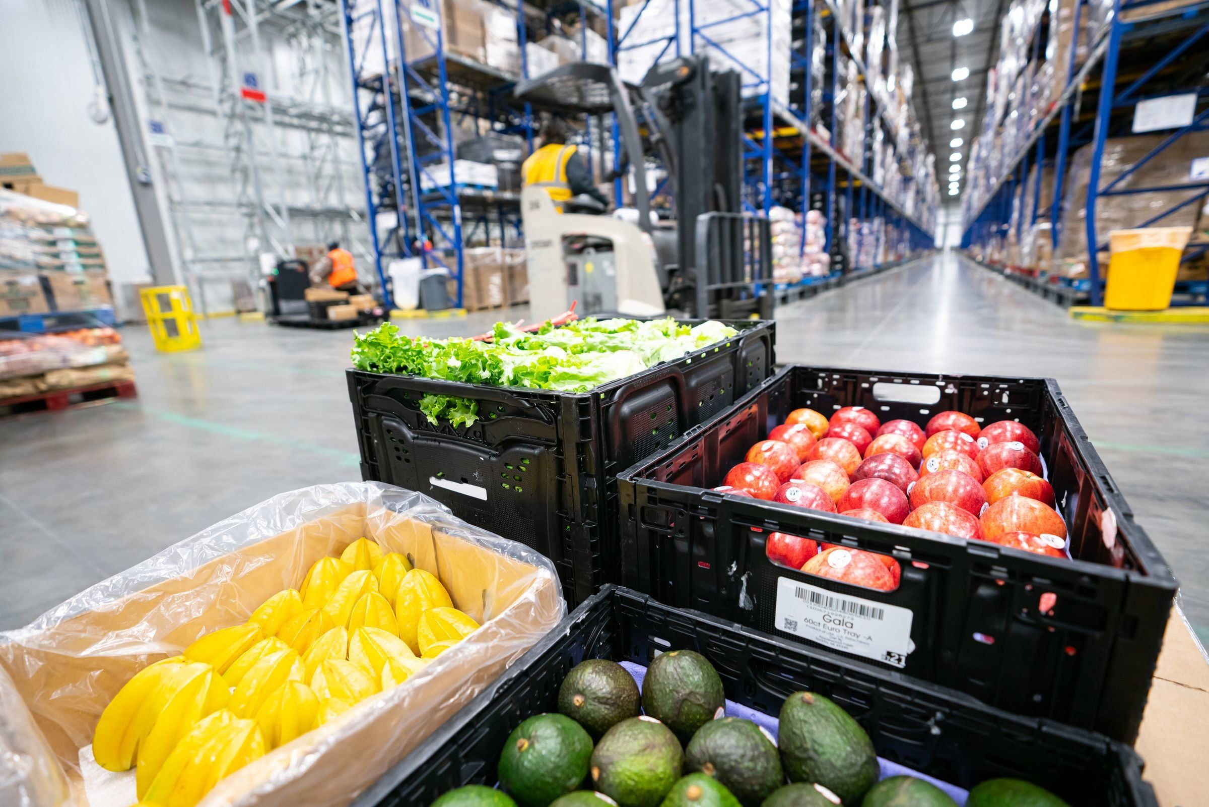 produce in logistics warehouse