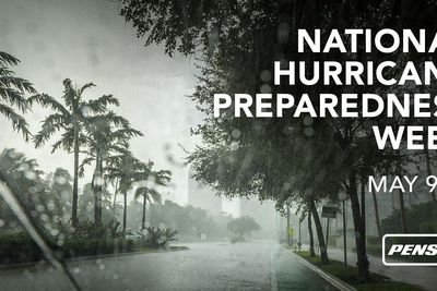 stormy scene with palm trees