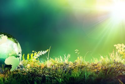 The U.S. Environmental Protection Agency (EPA) SmartWay program has named Penske Logistics a 2023 High Performer among mixed truck carriers in the carbon recognition category. Less than 10% of eligible fleets qualify for this designation.